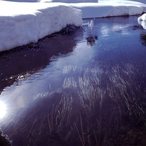 Nature Pic  1775