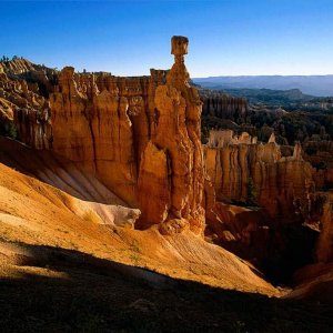 Nature Pic  1664