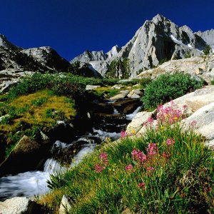 Nature Pic  2023