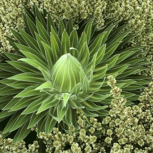 Nature Pic  2348