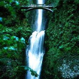 Nature Pic  966