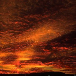 Nature Pic  1777