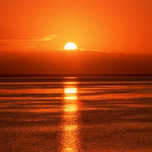 Nature Pic  1793
