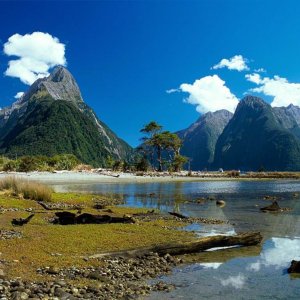 Nature Pic  2040