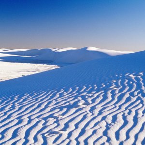 Nature Pic  2347