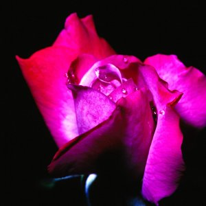 Nature Pic  1130