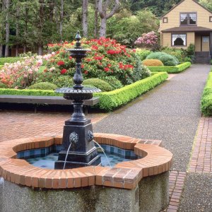 Nature Pic  1129
