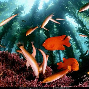 Nature Pic  1616