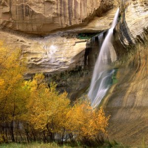 Nature Pic  553