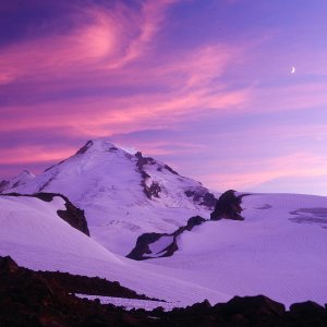 Nature Pic  698