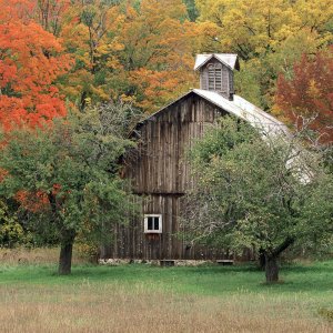 Nature Pic  2131