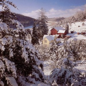 Nature Pic  1517