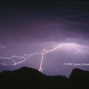 Nature Force Pic  74