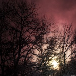 Nature Force Pic  84