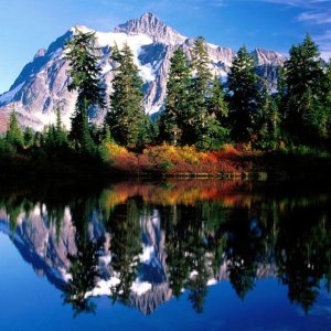 Nature Pic  1509