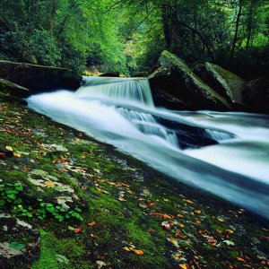 Nature Pic  1106