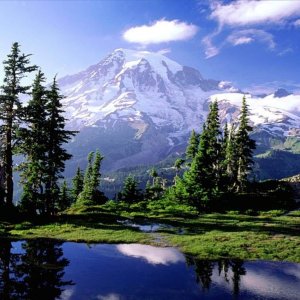 Nature Pic  2046