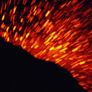 Nature Force Pic  51