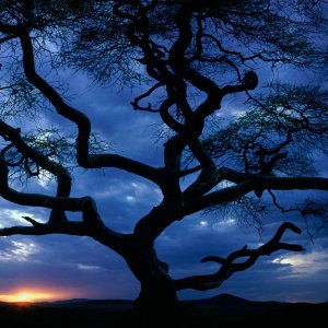 Nature Pic  2142