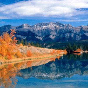 Nature Pic  2336
