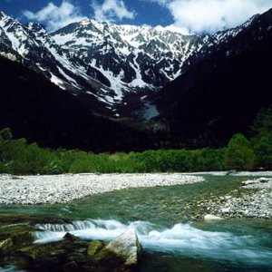 Nature Pic  475