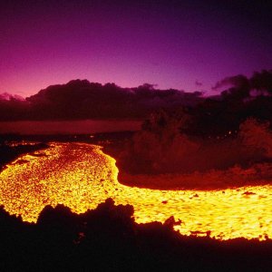 Nature Force Pic  52