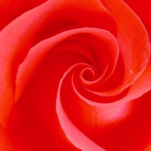 Nature Pic  934