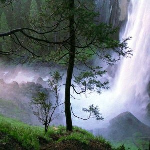 Nature Pic  1814