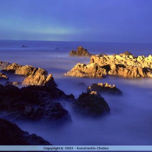 Nature Pic  980