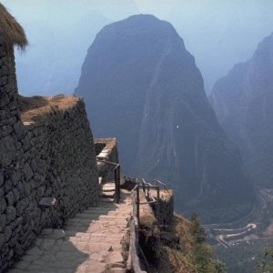 Nature Pic  1512