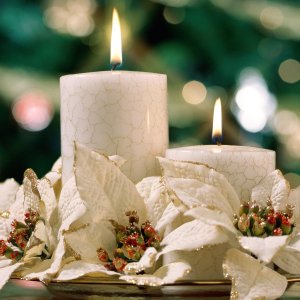 Nature Pic  815