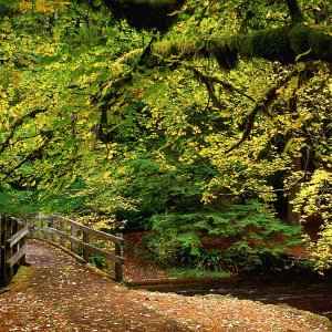 Nature Pic  1160