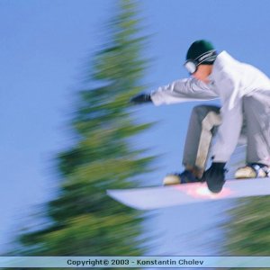 Nature Pic  413