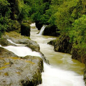 Nature Pic  696