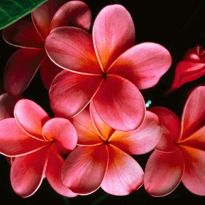 Nature Pic  2027