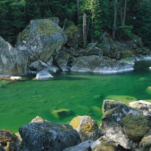 Nature Pic  1091