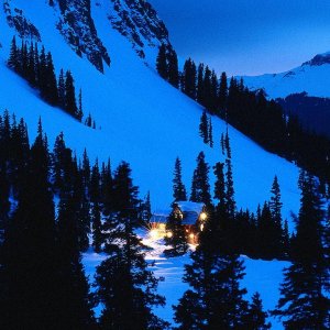 Nature Pic  1528