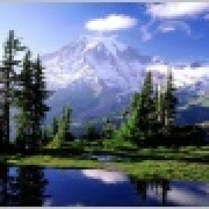 Nature Pic  2237