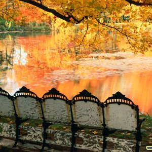 Nature Pic  1302