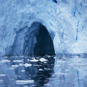 Nature Pic  855