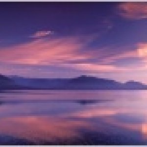 Nature Pic  2276