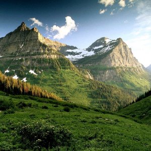 Nature Pic  1704