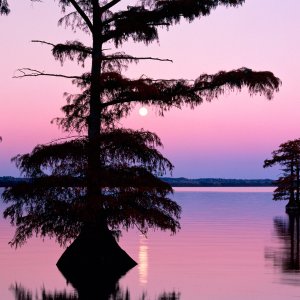 Nature Pic  506