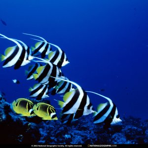 Nature Pic  1657