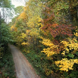 Nature Pic  454