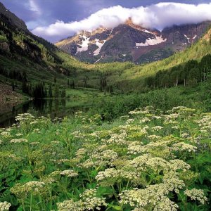 Media 'Nature Pic  2041' in category 'Nature Photos'