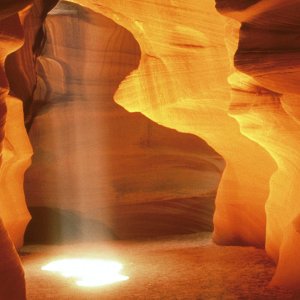 Nature Pic  1323