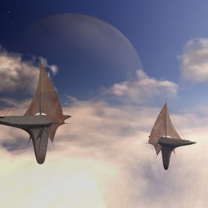 Nature Pic  989