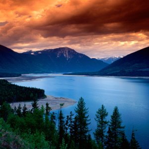 Nature Pic  2318