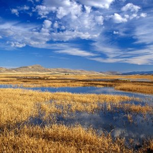 Nature Pic  1344